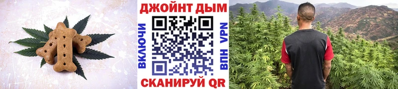 Canna-Cookies марихуана  OMG ССЫЛКА  Дятьково 
