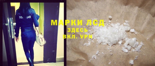 прущие грибы Гусиноозёрск