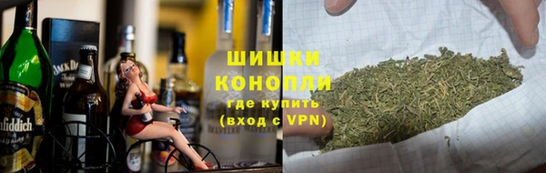 прущие грибы Гусиноозёрск