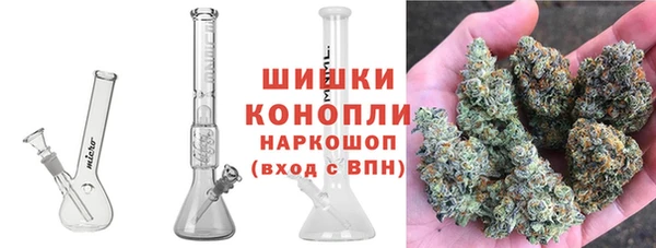 apvp Гусь-Хрустальный