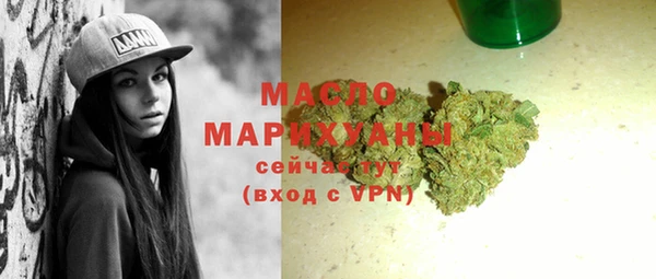 прущие грибы Гусиноозёрск