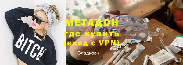 прущие грибы Гусиноозёрск