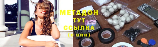 прущие грибы Гусиноозёрск