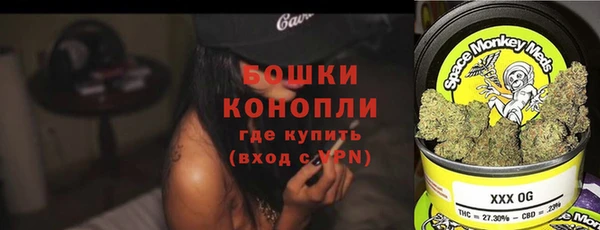 прущие грибы Гусиноозёрск