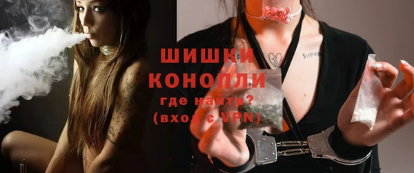 прущие грибы Гусиноозёрск
