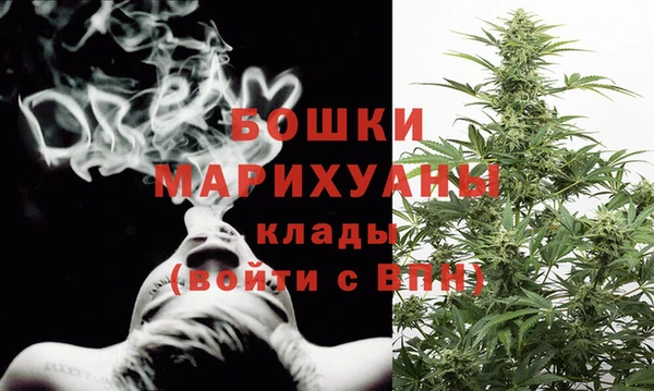стаф Гусев