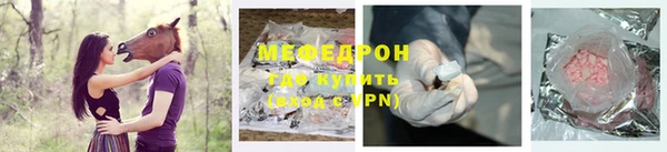 прущие грибы Гусиноозёрск