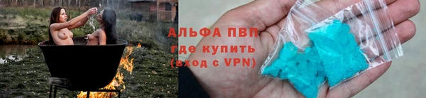 стаф Гусев