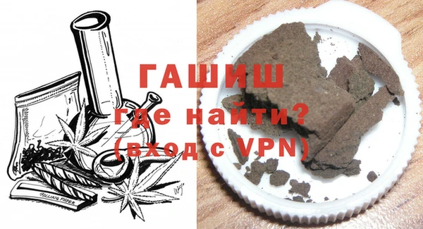 прущие грибы Гусиноозёрск