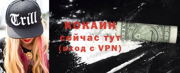 стаф Гусев