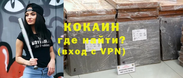 прущие грибы Гусиноозёрск