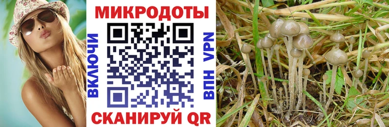 мориарти состав  Дятьково  Псилоцибиновые грибы мицелий 