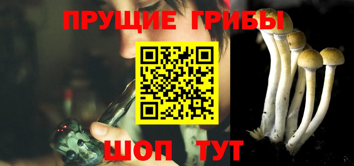 Дятьково  Псилоцибиновые грибы GOLDEN TEACHER  Вход с VPN  Псилоцибиновые грибы GOLDEN TEACHER 