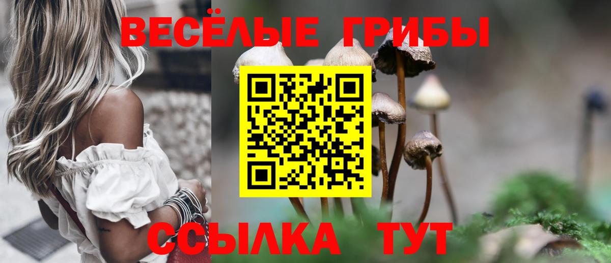 Псилоцибиновые грибы Psilocybine cubensis  Дятьково 