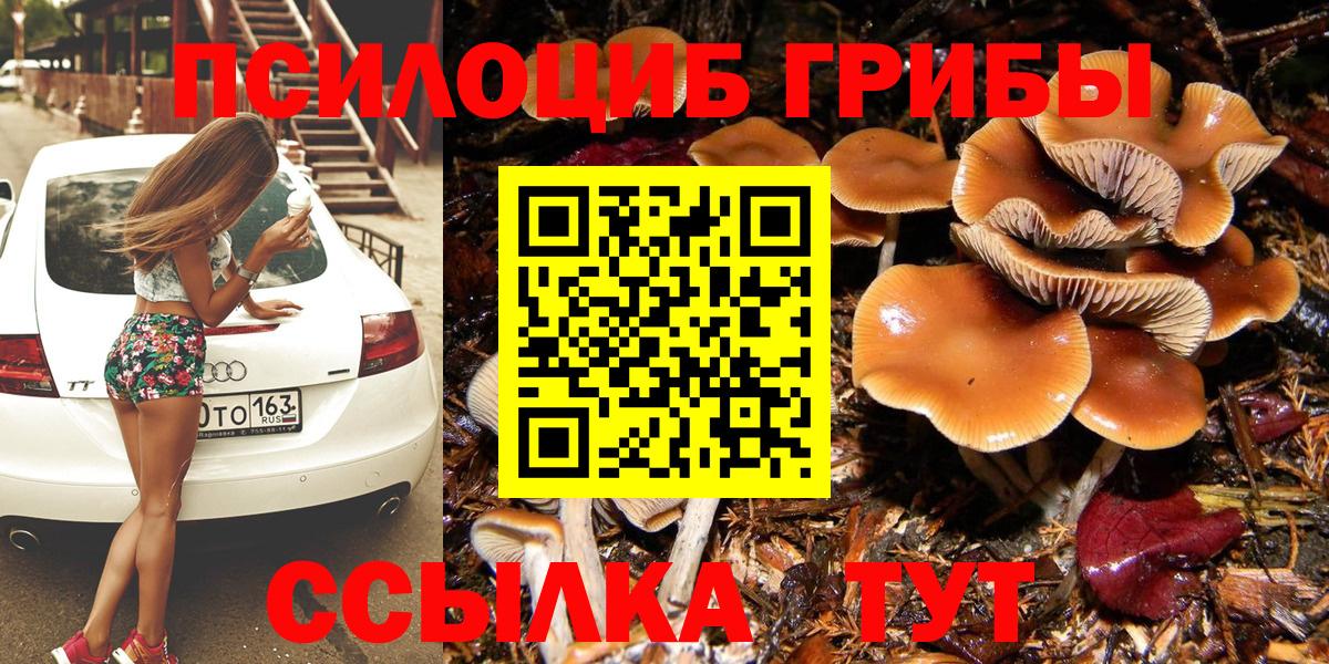 Галлюциногенные грибы GOLDEN TEACHER Дятьково
